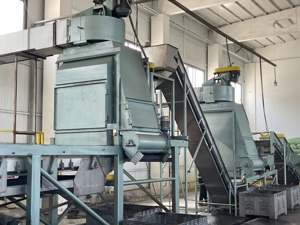 ECO Orient Group raisin processing facility in Uzbekistan - HACCP certified production line