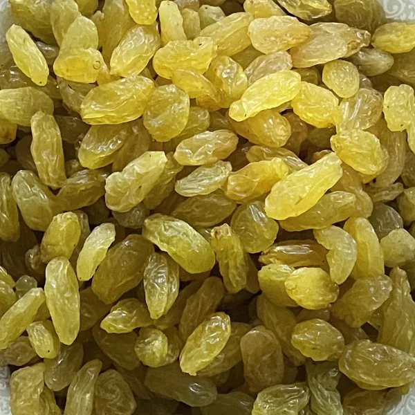 Kalifar golden seedless raisins from Uzbekistan - bulk wholesale