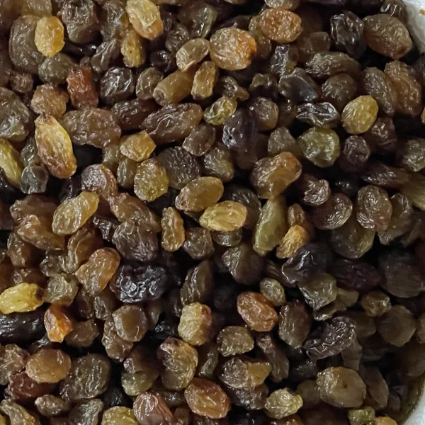 Objush jumbo premium raisins from Uzbekistan - bulk wholesale