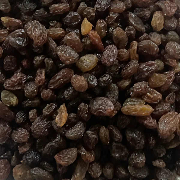 Oshmaiz brown raisins from Uzbekistan - bulk wholesale